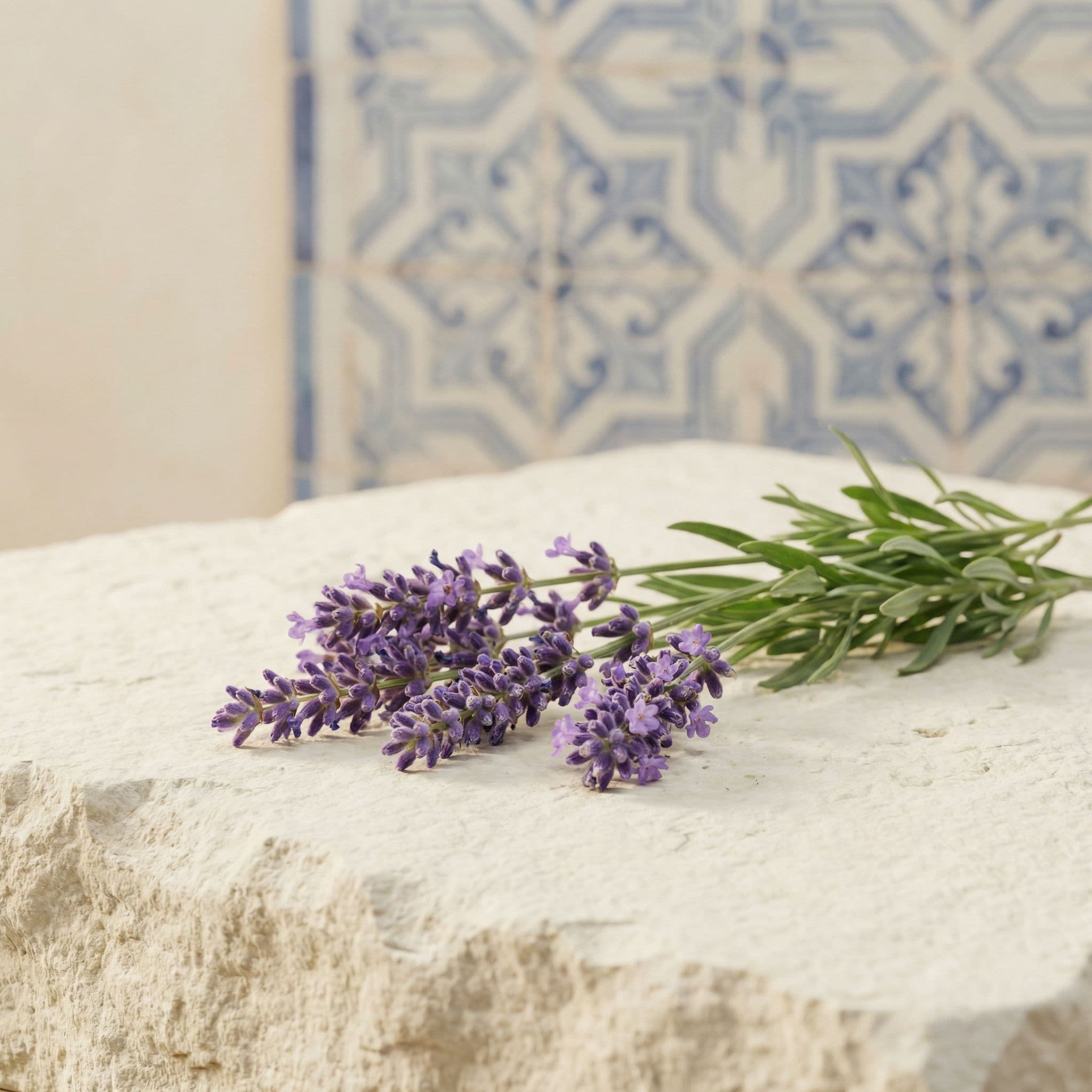 Fresh lavender sprigs representing botanical essential oils